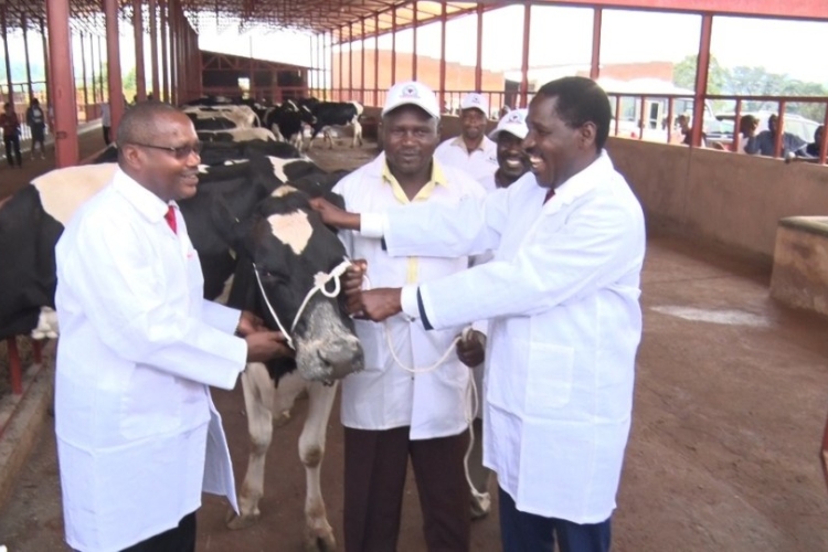 Uhuru Delivers Gift of a Special Cow to Burundi President Evariste Ndayishimiye