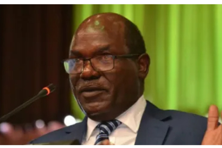 IEBC Mulls Suspending Elections in 31 Areas with Pending Court Cases 