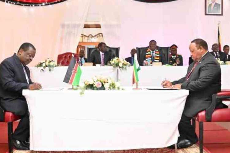 Zimbabwe Endorses Raila Odinga for Top AU Post