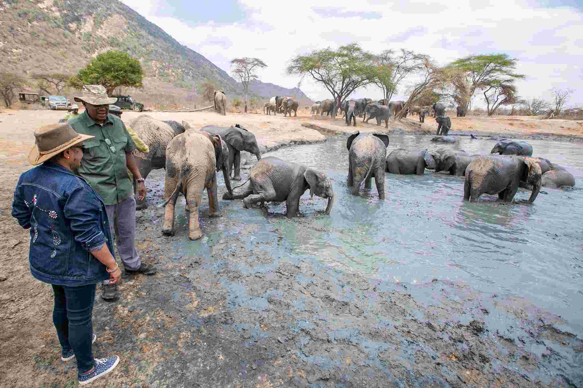 President Uhuru - elephants