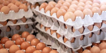 Kenya Moves to Scrap Excise Duties on Imported Eggs, Onions, and Potatoes
