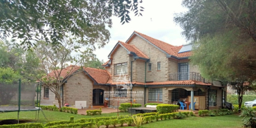 Kenya’s Wealthy Shift Investments to Classic Cars, Art, and Luxury Goods