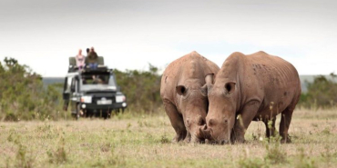 KWS Seeks to Raise National Park Fees by 50%