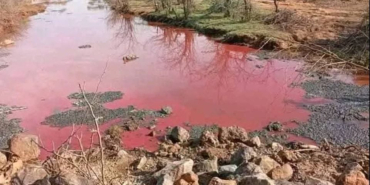 Why Lake Bogoria’s Waters Suddenly Turned Red