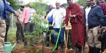 Kenya’s Ambitious Plan to Plant 15 Billion Trees by 2032