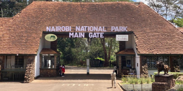 KWS Plans Free Entry to Parks for Elderly, Children, and Registered Guides
