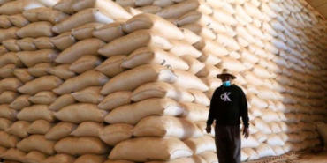 How Did Tycoons Secure Sh15 Billion Rice Import Deal?