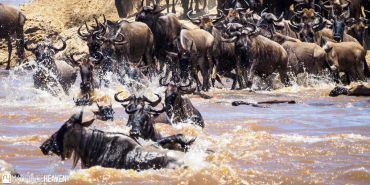 Africa’s Tourism Sector Faces Hurdles in Adopting Digital Technology