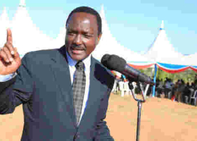 Kalonzo's 'Advice' to President Kenyatta