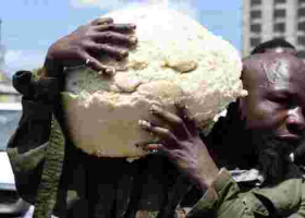 "Ugali Man": Kenyan Man Pictured Salvaging Ugali as Gov't Demolishes Illegal Structures in Nairobi