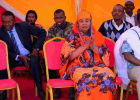 Marsabit Women Rep. Safia Adan Taken to Court for Allegedly Holding US, Ethiopian Citizenships