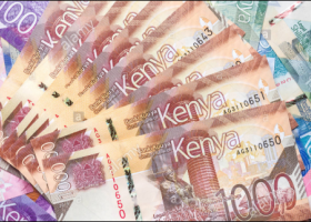 Kenyan Woman Receives Sh3.8 Million from NYS for Supplying Nothing, Reports to EACC
