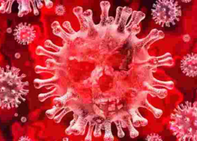 Kenya Confirms 22 New Covid-19 Cases, Total Tally Rises to 81