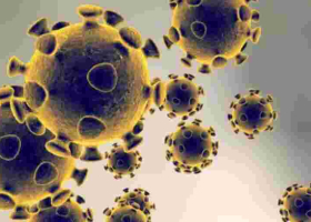 8 Kenyans Test Positive for Covid-19, Tally Rises to 363