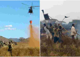 Police Launch Hunt for Arsonists Who Torched Tsavo West, Kenya's Largest National Park 