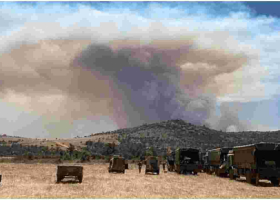 Probe Opened After 5 Elephants Killed by Fires Started by British Soldiers Training in Kenya