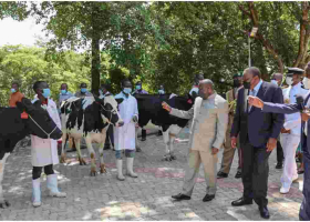 Uhuru Gifts Burundi President Ndayishimiye 50 High-Grade Friesian Cows
