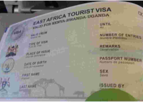 Government Warns of Cybercriminals Targeting Visitors to Kenya in e-Visa Scam 