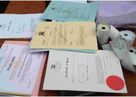 Government Goes After over 250,000 Kenyan Civil Servants Holding Fake Academic Papers
