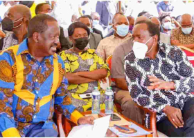 Raila Hints at Running for President in 2022, Pledges to Emulate Magufuli 