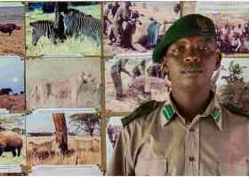 How Class 8 Dropout John Pameri Became a Pilot and Manager at Lewa Conservancy 