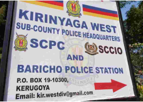 14 Illegal Immigrants Arrested in Kirinyaga After Car Crash 