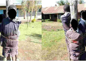 Headteacher and His Deputy in Trouble for Allegedly Tying Pupils on a Tree as Punishment 