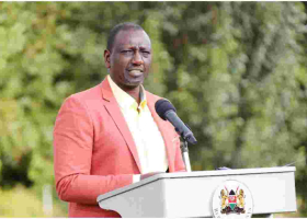 Ruto: I Make Sh1.5 Million a Day Selling Eggs from My Chicken Farm 
