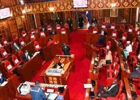 Kenyan Senators Clash over Planned Trip to the US