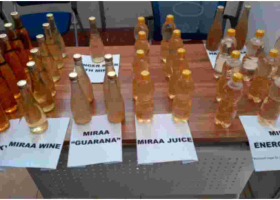 Gov't Unveils Juice, Energy Drink, Whisky, and Wine Produced from Miraa 
