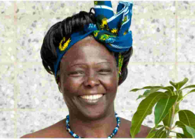 MPs Want Karura Forest Renamed After Prof. Wangari Mathai