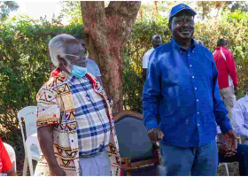 Raila Condemns Meru Senator Mithika Linturi's 'Madoadoa' Remarks 