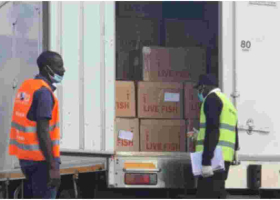 Chinese Nationals Arrested at JKIA Trying to Illegally Export 5,703kgs of Live Crabs 