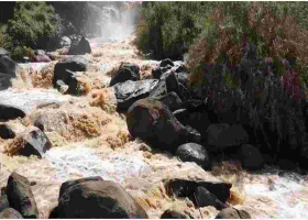 Three More Bodies Retrieved from River Yala, Raising Total Count to 30