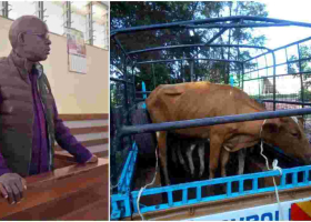 Kenyan Man Gets a Dowry Refund from Former In-Laws Following a Court Order 