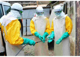  Kenya on High Alert After Ebola Outbreak in Uganda 