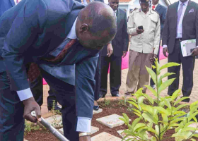 President Ruto Rallies Kenyans to Plant Five Billion Trees to Combat Climate Change 
