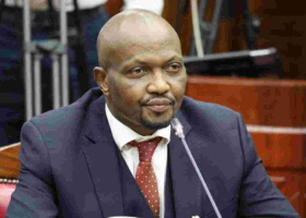 Kenya Gov't to Allow Import of Duty-Free GMO Maize for Six Months