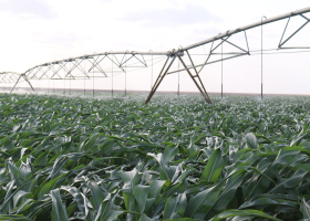 President Ruto Orders Revival of the Failed Galana Kulalu Irrigation Project