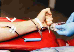 Germany to Lift Restrictions on Gay Blood Donors