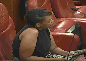 Senator Karen Nyamu Expelled from Senate Chamber over Inappropriate Dressing