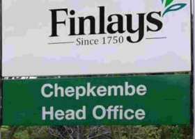 James Finlays Kenya Suspends Two Managers Accused of Sexually Abusing Female Workers