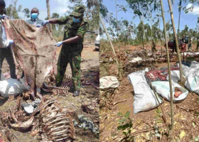 Two Arrested After Police Raid an Illegal Donkey Abattoir in Kiambu