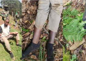 IPOA Probes Controversial Shooting of Two Suspected Bank Robbers in Murang'a