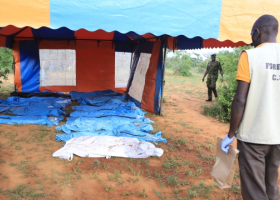 Shakahola Massacre: Bodies of Eight Children Exhumed, Death Toll Hits 98