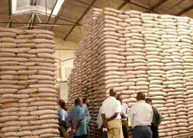 Mastermind in Sh163 Million Sugar Scandal Arrested at JKIA 