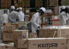 Report Reveals Kikuyus and Luos Form Majority of Staff at KEMSA