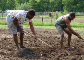 How Kenyan Erick Ateka Discovered His Farming Passion in Minnesota