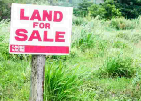 What to Do When the Government Acquires Your Land Compulsorily