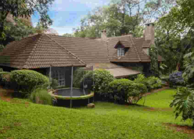 15 Muthaiga, Loresho Homes on Auction as Loan Defaults Hit Tycoons